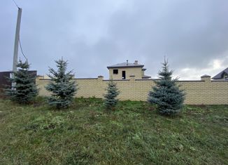 Продается дом, 300 м2, село Гремячка, улица Александрова, 48А