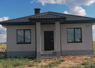 Продается дом, 88 м2, село Нечаевка, Звёздная улица, 15