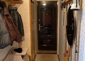 Трехкомнатная квартира на продажу, 51.8 м2, село Теменичи, Светлая улица, 5