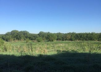 Продается земельный участок, 31 сот., село Черкассы, Набережная улица, 3А