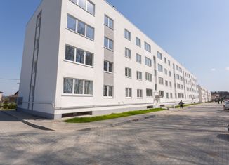 Продажа 2-ком. квартиры, 46.6 м2, посёлок Орловка, Новая улица, 44