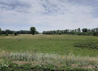 Земельный участок на продажу, 10 сот., село Новый Краснояр