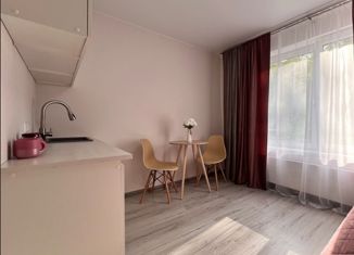 Продам квартиру студию, 16.4 м2, Москва, Вешняковская улица, 11к2, район Вешняки