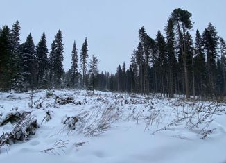 Продается земельный участок, 1449 сот., поселок Трубачево, Янтарная улица