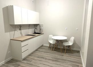 Квартира на продажу студия, 24.5 м2, Кудрово, ЖК Айди Кудрово 3, проспект Строителей, 5