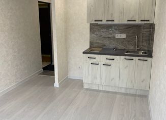 Квартира на продажу студия, 18.7 м2, Москва, Заревый проезд, 2, Заревый проезд