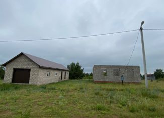 Продаю дом, 117 м2, село Новобиктово, Механизаторская улица, 7