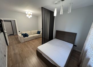 Аренда 1-комнатной квартиры, 40 м2, Казань, Советский район, улица Академика Завойского, 21Бк2