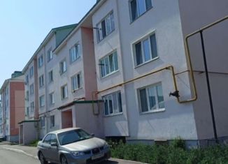 Продаю 1-комнатную квартиру, 47 м2, Татарстан, улица Ленина, 14