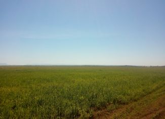 Продам участок, 100 сот., коттеджный поселок Северный берег