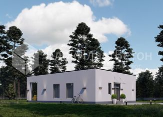 Продажа дома, 75 м2, деревня Ольшаны