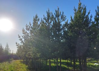 Участок на продажу, 12 сот., посёлок Рассоха, Радужная улица, 16