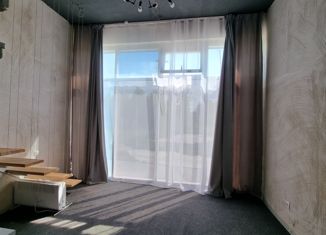 Продаю 1-комнатную квартиру, 25.6 м2, посёлок городского типа Васильево, улица Ленина, 57