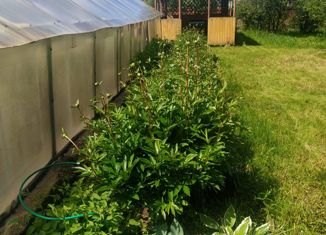 Продаю дом, 309.4 м2, село Ташкиново, Лесная улица, 13