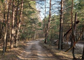 Продается дом, 100 м2, деревня Киреево