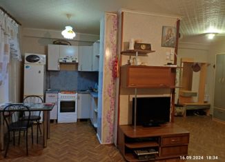 3-ком. квартира на продажу, 59 м2, Хакасия, микрорайон Заводской, 17