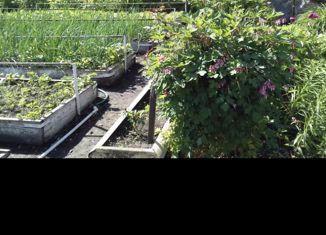 Продам дом, 50.1 м2, поселок городского типа Архара, Ударная улица, 32