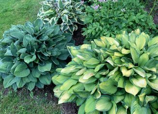 Земельный участок на продажу, 10 сот., СНТ Рогово-2, СНТ Рогово-2, 89