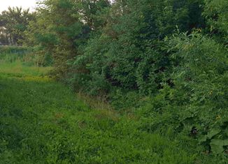 Продам участок, 10.77 сот., деревня Перикса, Центральная улица, 1В