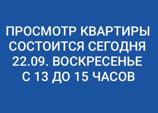 Продается квартира студия, 23.2 м2, Ленинградская область, улица Шоссе в Лаврики, 95