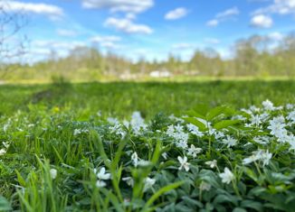 Продажа участка, 16 сот., деревня Некрасово