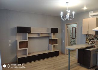 Продам квартиру студию, 24.3 м2, посёлок Прудный, Лесопарковая улица, 2Б