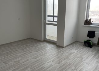 Сдам в аренду квартиру студию, 30 м2, Екатеринбург, Хрустальногорская улица, 93, ЖК Рио