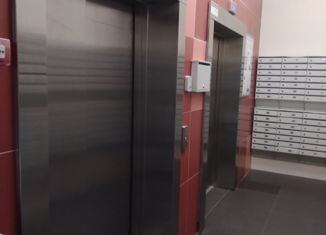 Продаю квартиру студию, 24 м2, Мурино, ЖК Цвета радуги, улица Шувалова, 46