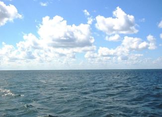 Земельный участок на продажу, 13 сот., Ладушкин, Первомайская улица