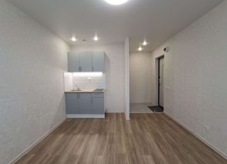 Продажа квартиры студии, 18.1 м2, Пермь, Целинная улица, 13, Мотовилихинский район