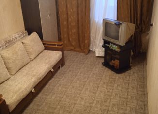 Продается 2-комнатная квартира, 43.5 м2, село Долгодеревенское, Свердловская улица, 4