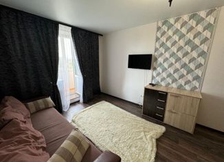 Продам квартиру студию, 26 м2, Саратов, улица имени Академика Н.Н. Семёнова, 13