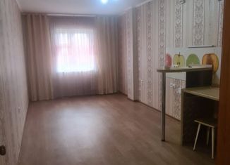 1-комнатная квартира в аренду, 47 м2, Красноярск, Норильская улица, 8Г, ЖК Озеро Парк