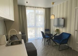 Продается 1-комнатная квартира, 34 м2, Сочи, Молодогвардейская улица, 2/68, микрорайон Соболевка