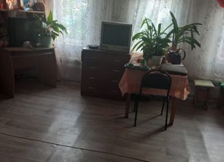 Продается дом, 60.6 м2, село Бишкаин, Центральная улица, 25