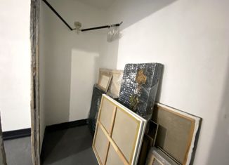 Продажа 3-комнатной квартиры, 55 м2, Санкт-Петербург, Новочеркасский проспект, 46, Новочеркасский проспект