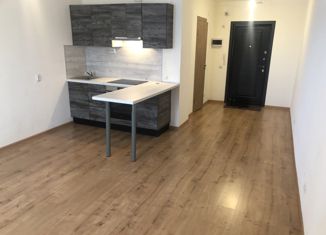 Продам квартиру студию, 28.3 м2, Санкт-Петербург, Славянская улица, 28, Славянская улица