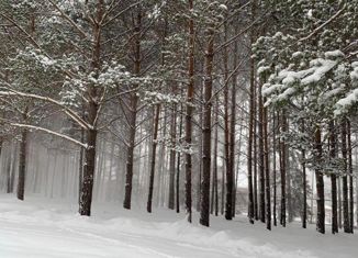 Продаю земельный участок, 14.5 сот., деревня Ерестная