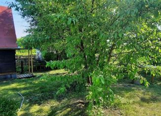 Продам дом, 20 м2, Горно-Алтайск, СНТ Динамо, 12