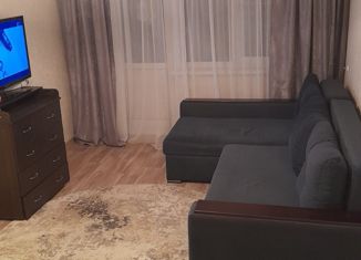Продается двухкомнатная квартира, 45 м2, Нижний Новгород, улица Ефима Рубинчика, 19, улица Ефима Рубинчика