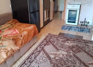 Продажа квартиры студии, 21 м2, Томск, улица Мечникова, 1