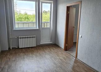 Продажа 1-комнатной квартиры, 31.9 м2, деревня Берёзовка, улица Сергея Малышева, 19