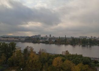 Квартира на продажу студия, 24.5 м2, Санкт-Петербург, метро Елизаровская, улица Крыленко, 1к1с5