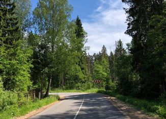 Продам участок, 1250 сот., деревня Тиликтино