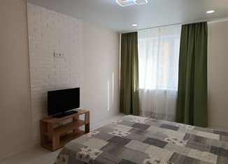 Продажа однокомнатной квартиры, 32.6 м2, Самара, проспект Карла Маркса, 8, метро Московская