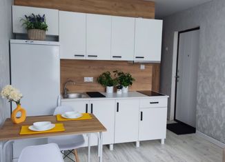 Продам квартиру студию, 25.3 м2, Чебоксары, проспект 9-й Пятилетки, 2А, Ленинский район