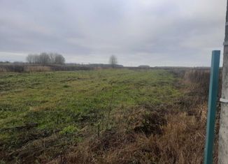 Продается земельный участок, 21 сот., деревня Тимофеево, деревня Тимофеево, 31