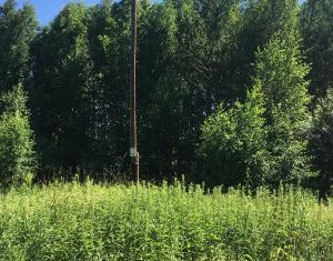 Участок на продажу, 8.78 сот., посёлок Белоярская Застава, Алая улица