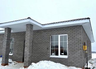Продажа дома, 115 м2, село Сокуры, улица Анатолия Белозёрова