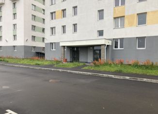 Продам однокомнатную квартиру, 36 м2, посёлок Шушары, Московское шоссе, 256к8, ЖК Вариант